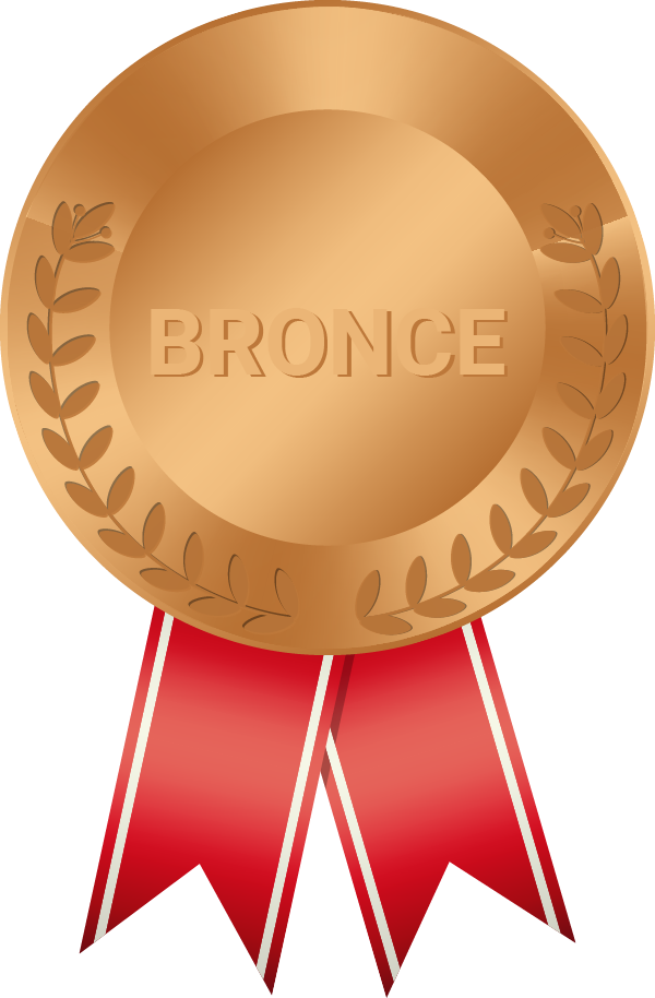 Socio Bronce